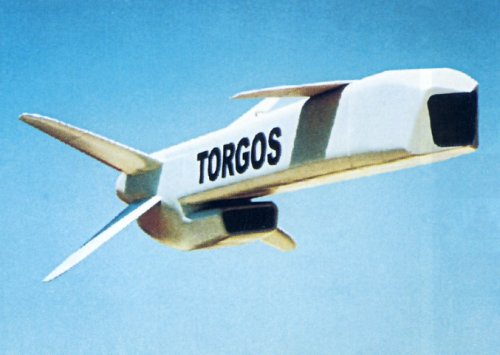 Torgos-02.jpg