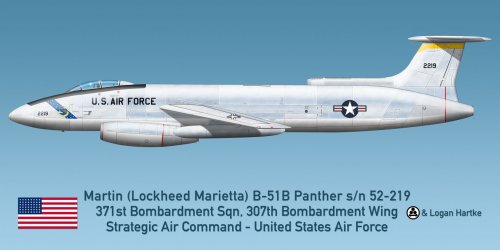 USAFPanther5.jpg