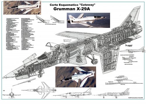 Cutaway Grumman X-29A.JPG
