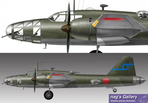 Ki-67~1024.jpg