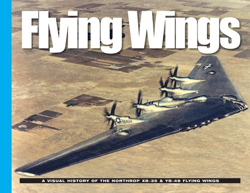 VH-Flying+Wing+Cover-1.jpg