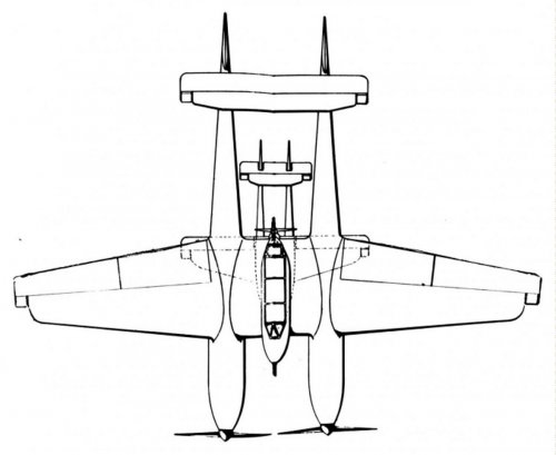 Twin engine Archer with lightning plan view.jpg