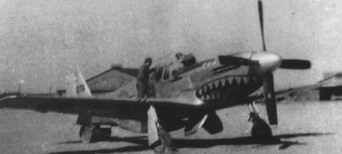 The IJA captured P-51C at China in February 1945.jpg