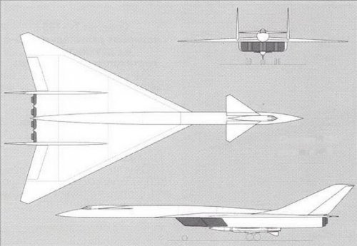 The plane 135 option  3.jpg
