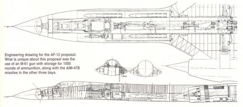 AF-12.jpg