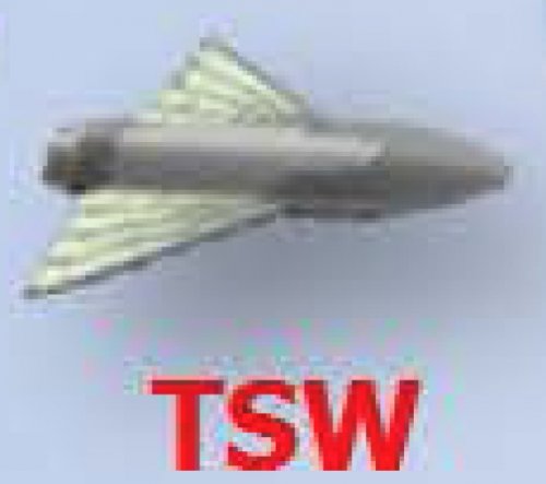 TSW-2.jpg