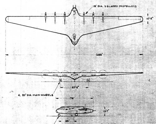 Consolidated Wing 3-view(repost).jpg