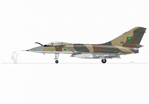 Mirage 4000 profils saoudien_resize.jpg