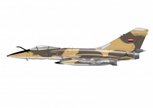 Mirage 4000 profil irakien.jpg