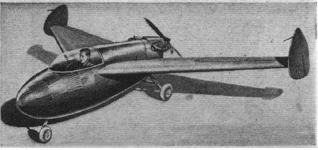 Tailless pusher aircraft.JPG