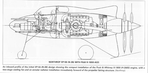 Northrop_Xp-56.jpg