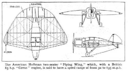 hoffman 2 seater flying wing.jpg