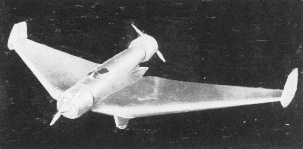 lippisch_military_aircraft_1932.jpg