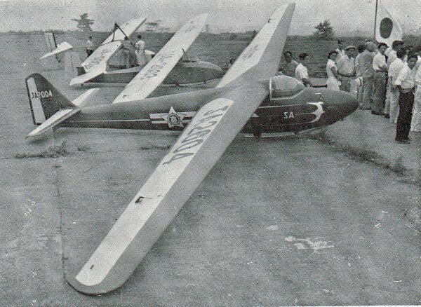 Tohi SA No1 glider pic1.jpg