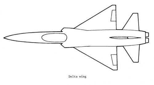 Delta wing.JPG