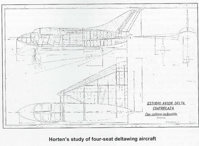 Horten executive jet (2).jpeg