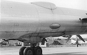 Tu-95LAL2.jpg