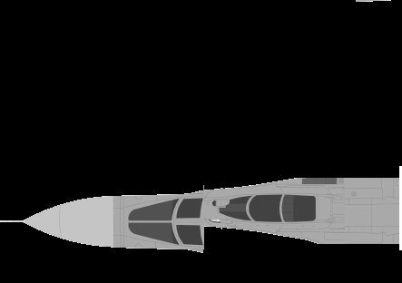 Su-32FN+Su-30MK-1.png