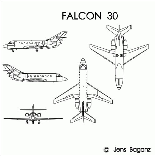 Falcon30.GIF