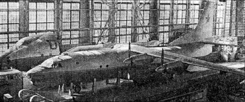 An-40.jpg