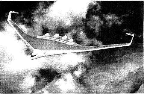 C-wing 2.JPG
