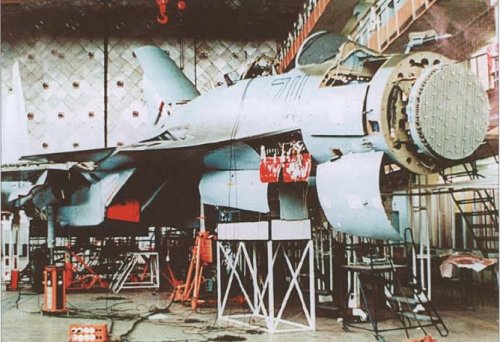 Su-37 17 serial 711.JPG