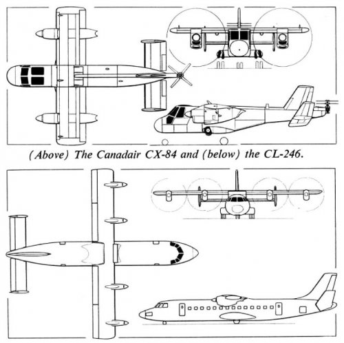 CL-246(3).jpg