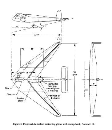Australian suctioning glider.JPG