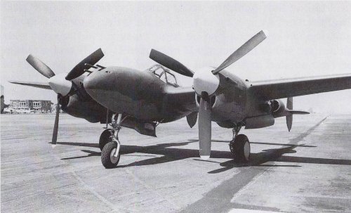 p-38 mule.JPG