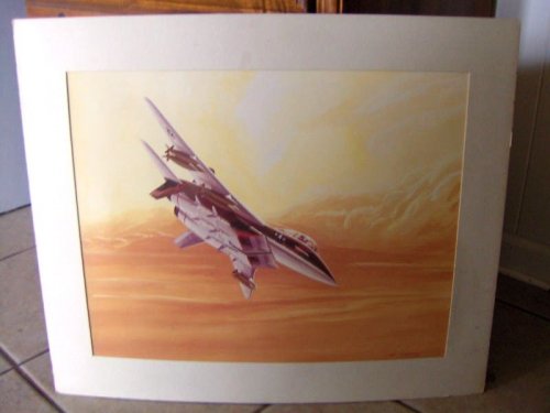 eBay - McCormack - NAR F-15 - Air-To-Ground Mission 3.JPG
