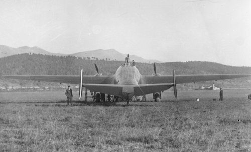 P.23R (rear).jpg