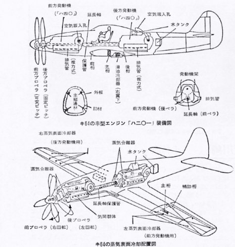 Ki-64_faotw_76.jpg