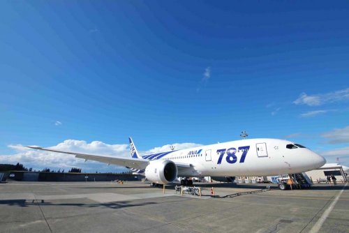 THE FIRST 787 IN HANEDA.jpg