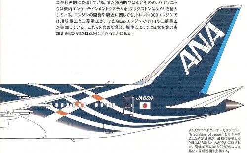 ANA 787 TAIL.jpg