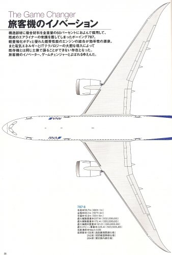 ANA 787 WING.jpg