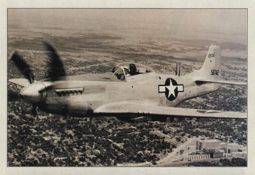 P-51M.jpg