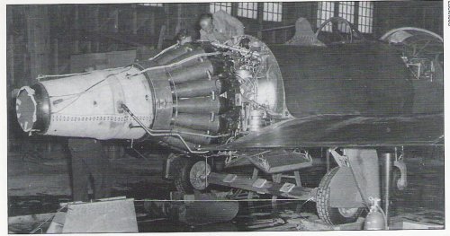 DH Goblin in the XP-80 prototype.jpg