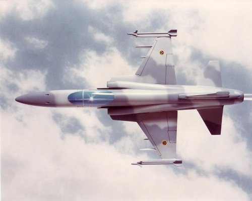 F-5G Bubble Canopy 2.jpg