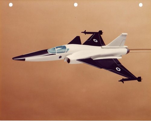 Canard Fighter 1.jpg