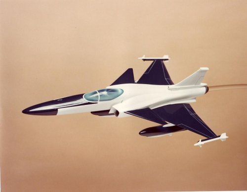 Canard Fighter 2.jpg