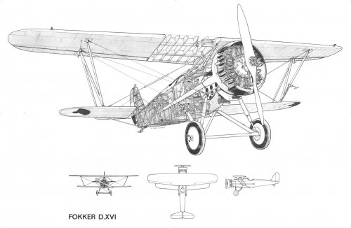 Fokker D.XVI.jpg