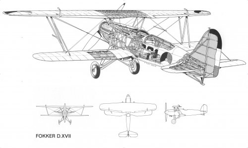 Fokker D.XVII.jpg