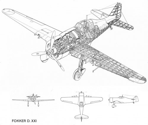 Fokker D.XXI.jpg
