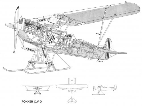 Fokker C.V-D.jpg