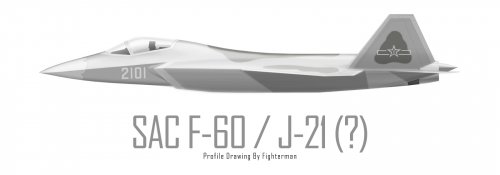 J-21 PLAAF fighterman.jpg