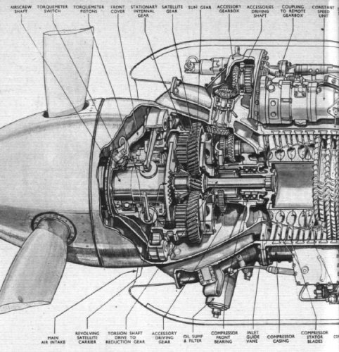 AS-Mamba compressor end cutaway-1951.jpg