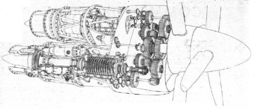 Coupled Naiad cutaway-Flt1949-1578.jpg