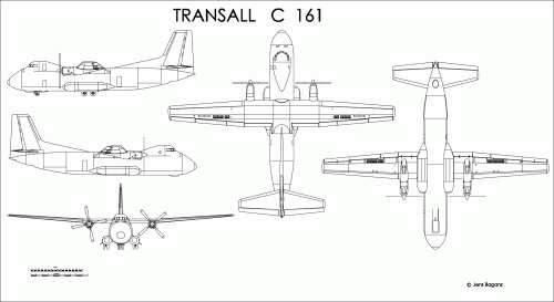 C-161.GIF