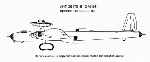 ANT - 26 (1).jpg