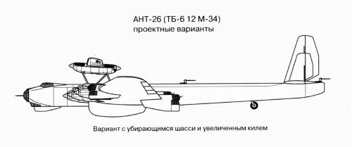 ANT - 26 (3).jpg